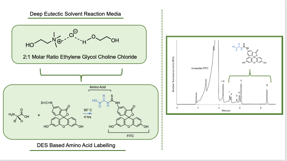 Deep Eutectic Solvent Reaction Media and DES Based Amino Acid Labelling