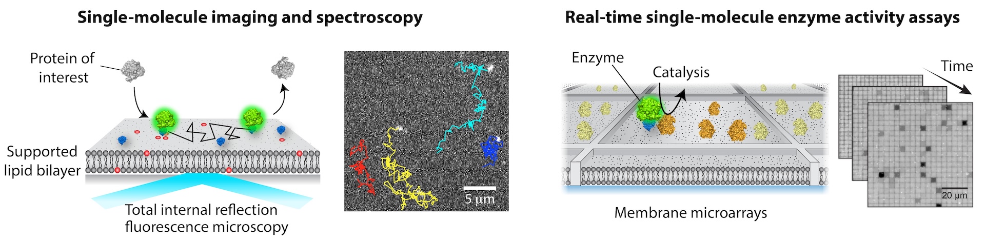Single-molecule analysis