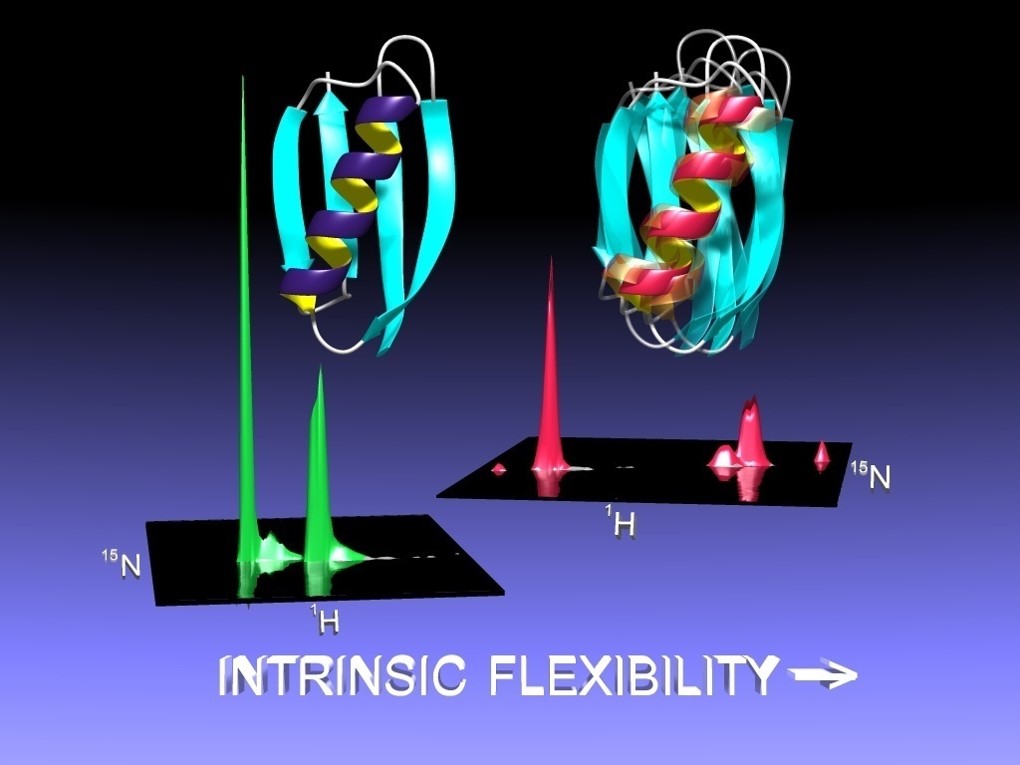 Computational Approach