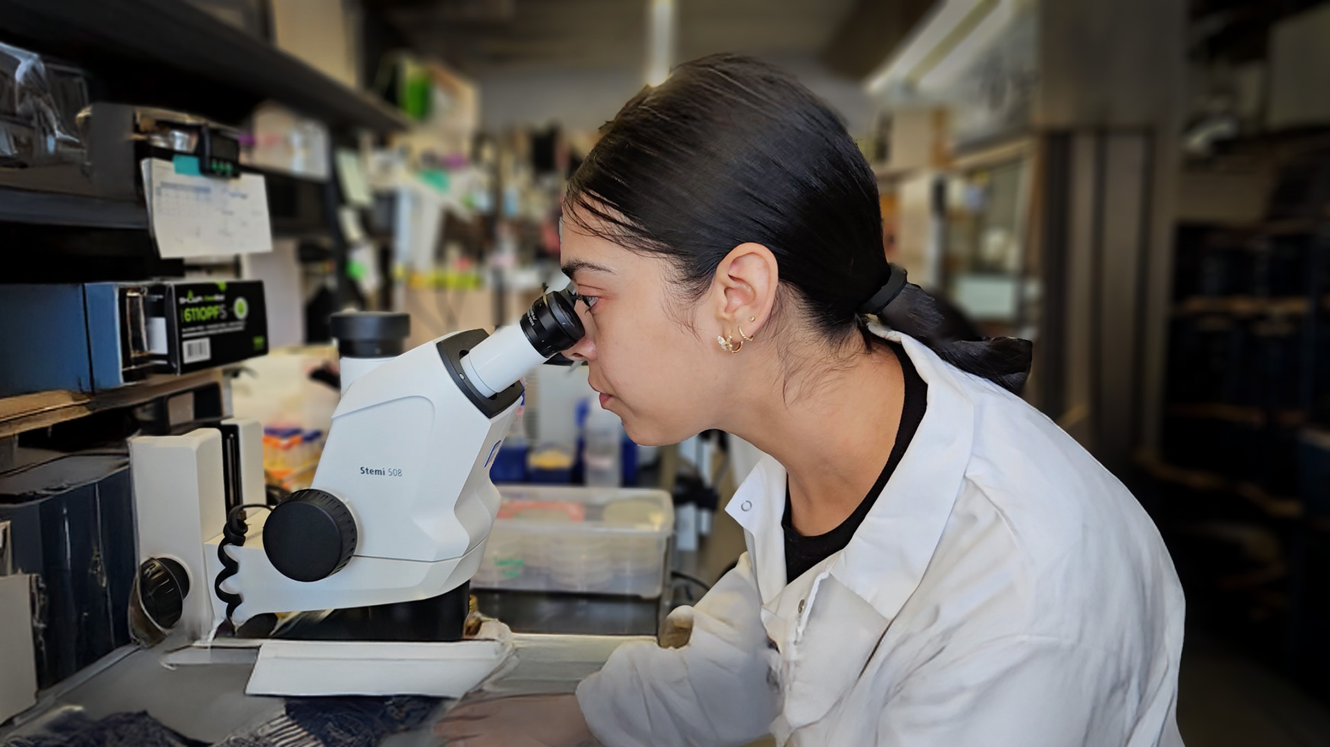 Female student smiling while working on laptop showing astrophysics.