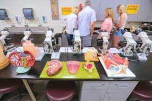 lab tables with human anatomy models of internal organs.