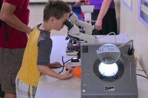 kid looking into microscope.