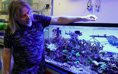 SDSU Ecologist Receives Prestigious Moore Foundation Award