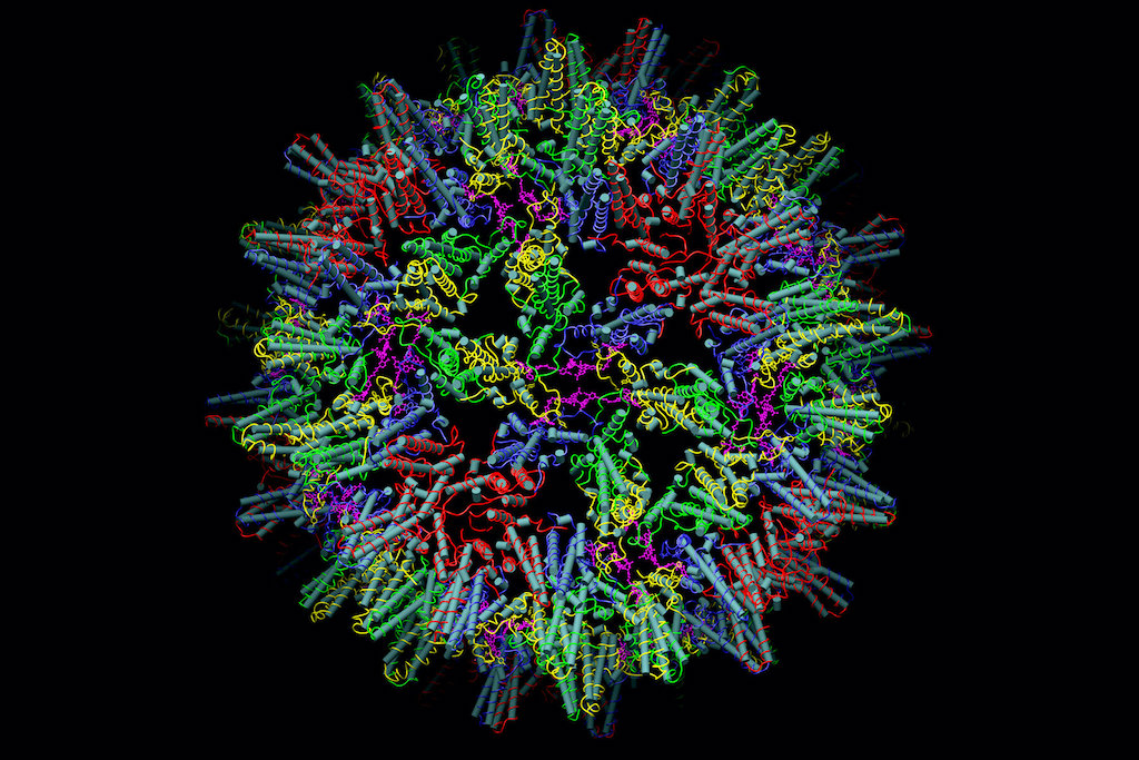 A graphic, made using cryo-electron microscopy, of a hepatitis B virus capsid where the protein is in red, green, yellow and blue (colors chosen to highlight capsid geometry) and a drug-like compound, HAP-TAMRA, in magenta.