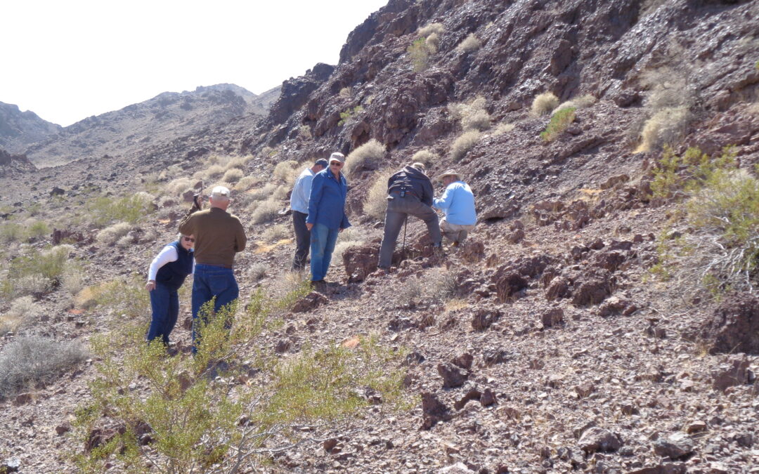 Geologists Get Together
