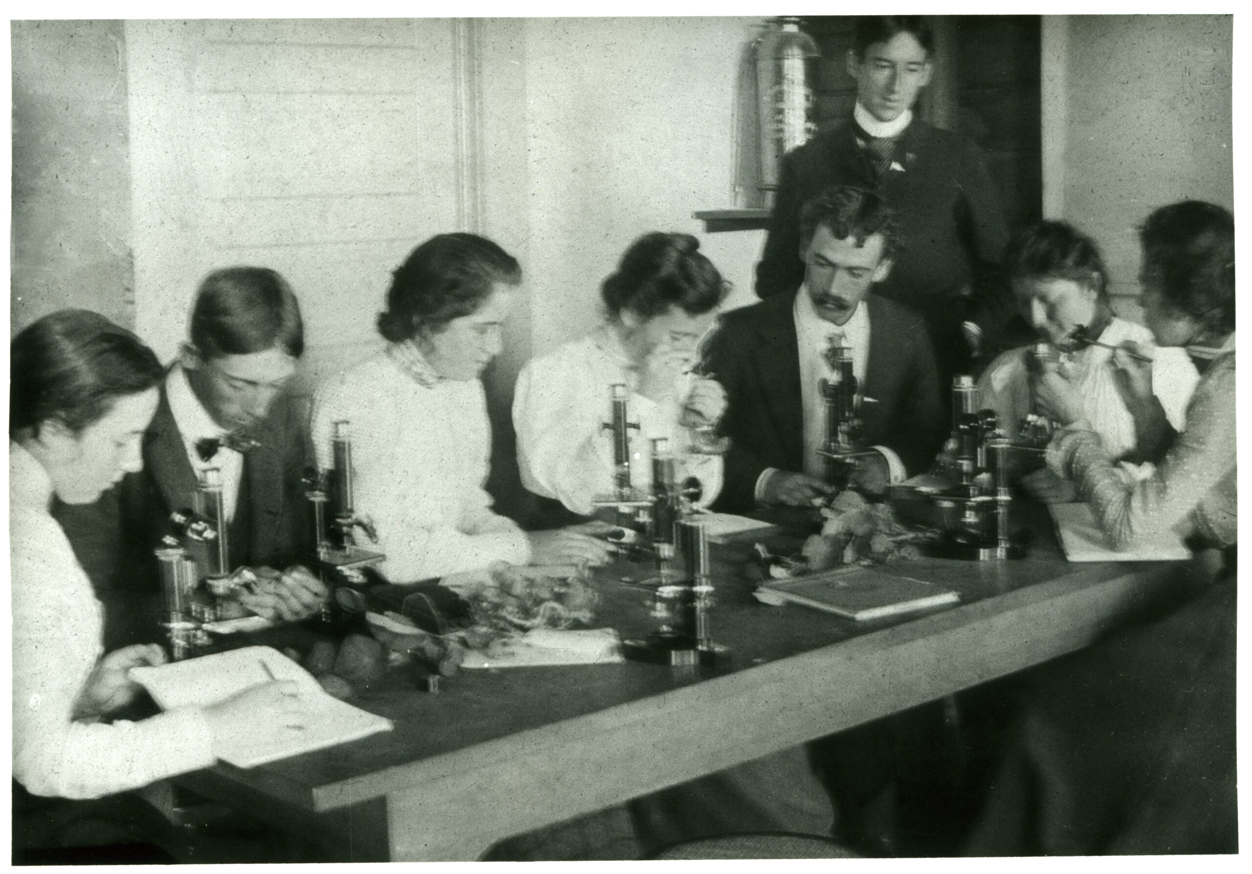 Women dressed in white blouses and men in suit jackets use microscopes