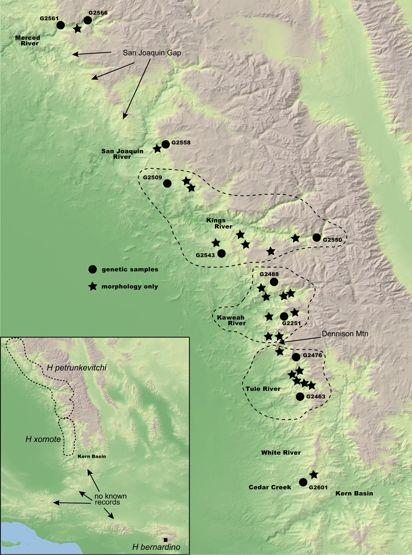 A map showing the areas where Hypochilus xomote and related species are found across the Sierra Nevada