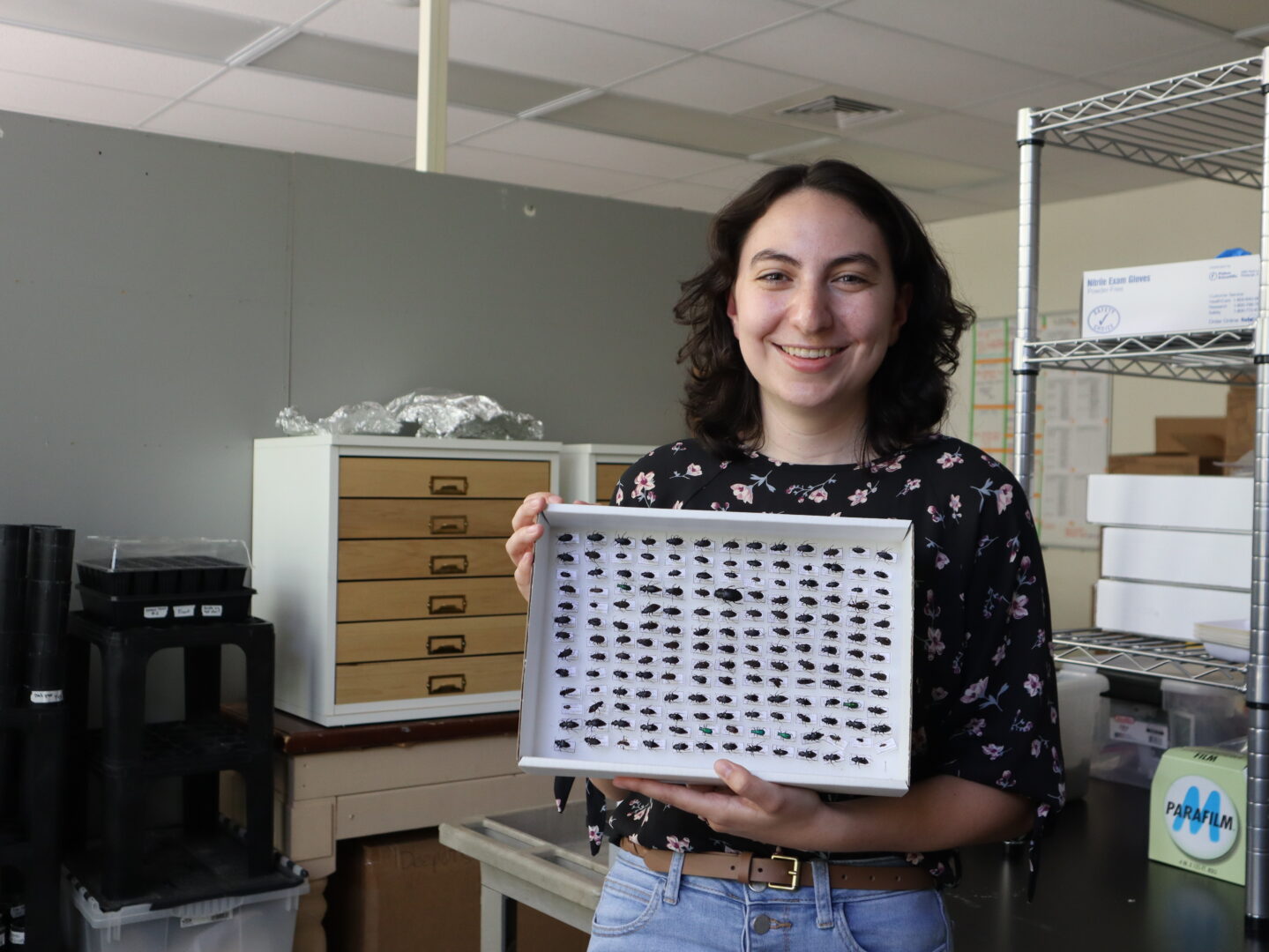 Young woman with curly dark hair smiles while holding rectangular box full of dozens of black beetles