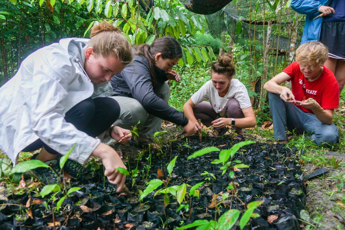 Scott (on right in red San Diego State t-shirt) and other students examine seedlings before planting them