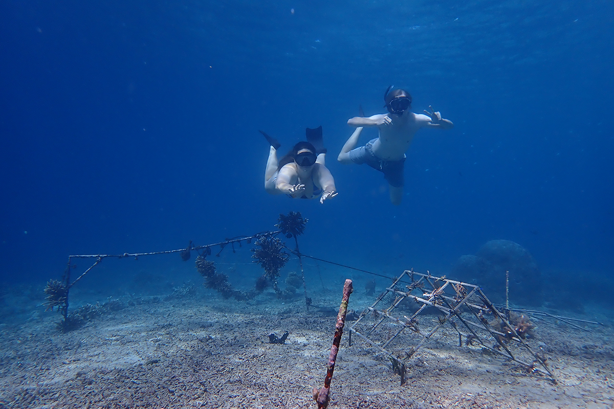 Scott (right) and another student snorkel above the coral reef support structures they built