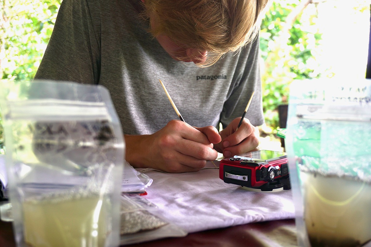 Scott uses porcupine quills to hold a specimen for his research project