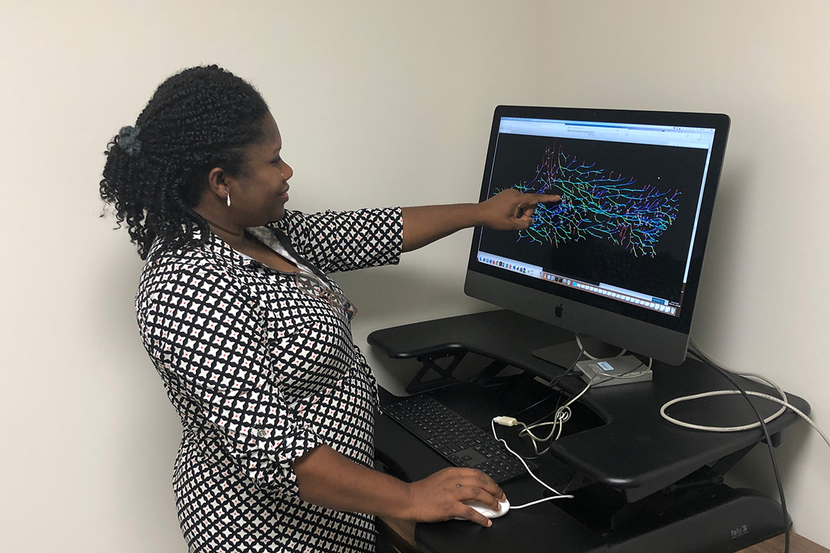 Uduak George points to a color-coded computational model of a mammary gland