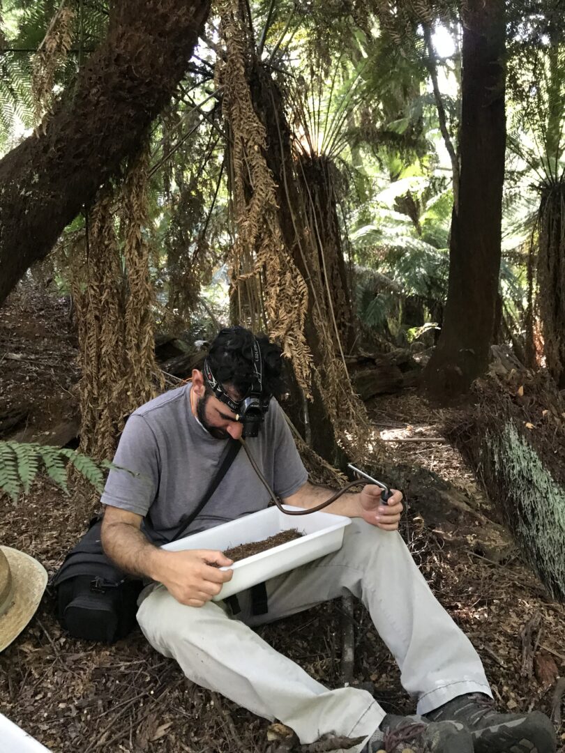During his fieldwork and research, Shahan Derkarabetian (‘06, ‘09, ‘17) has had opportunities to travel to places such as Victoria, Australia.