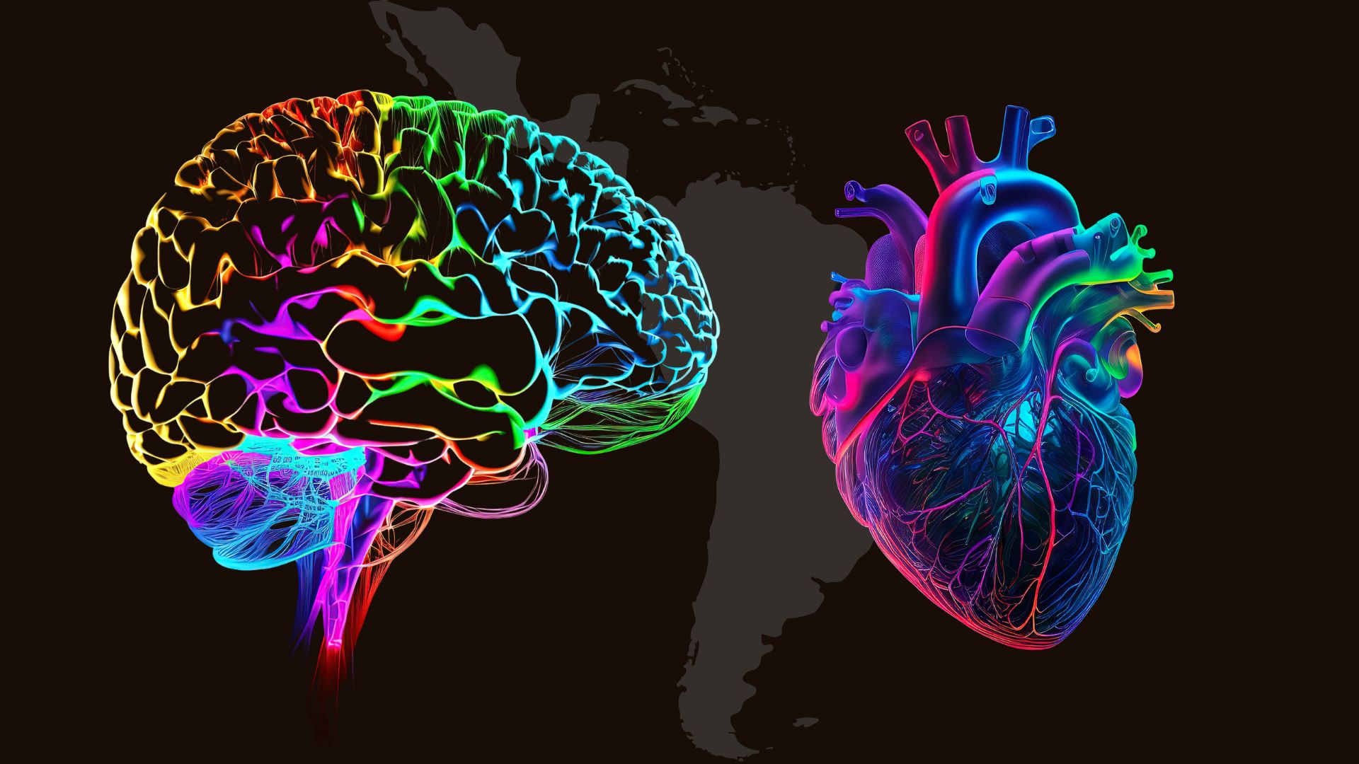 Colorful 3D anatomical structures of brain and heart in front of black and grey map of Latin America