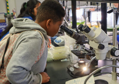 A fifth grade student gets a close-up look at algae samples in Zuniga’s biology lab