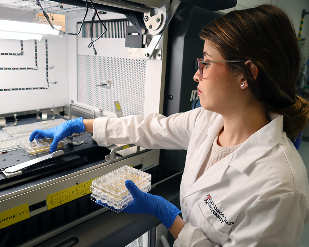 Closeup of female lab student placing sample trays into a fume hood.