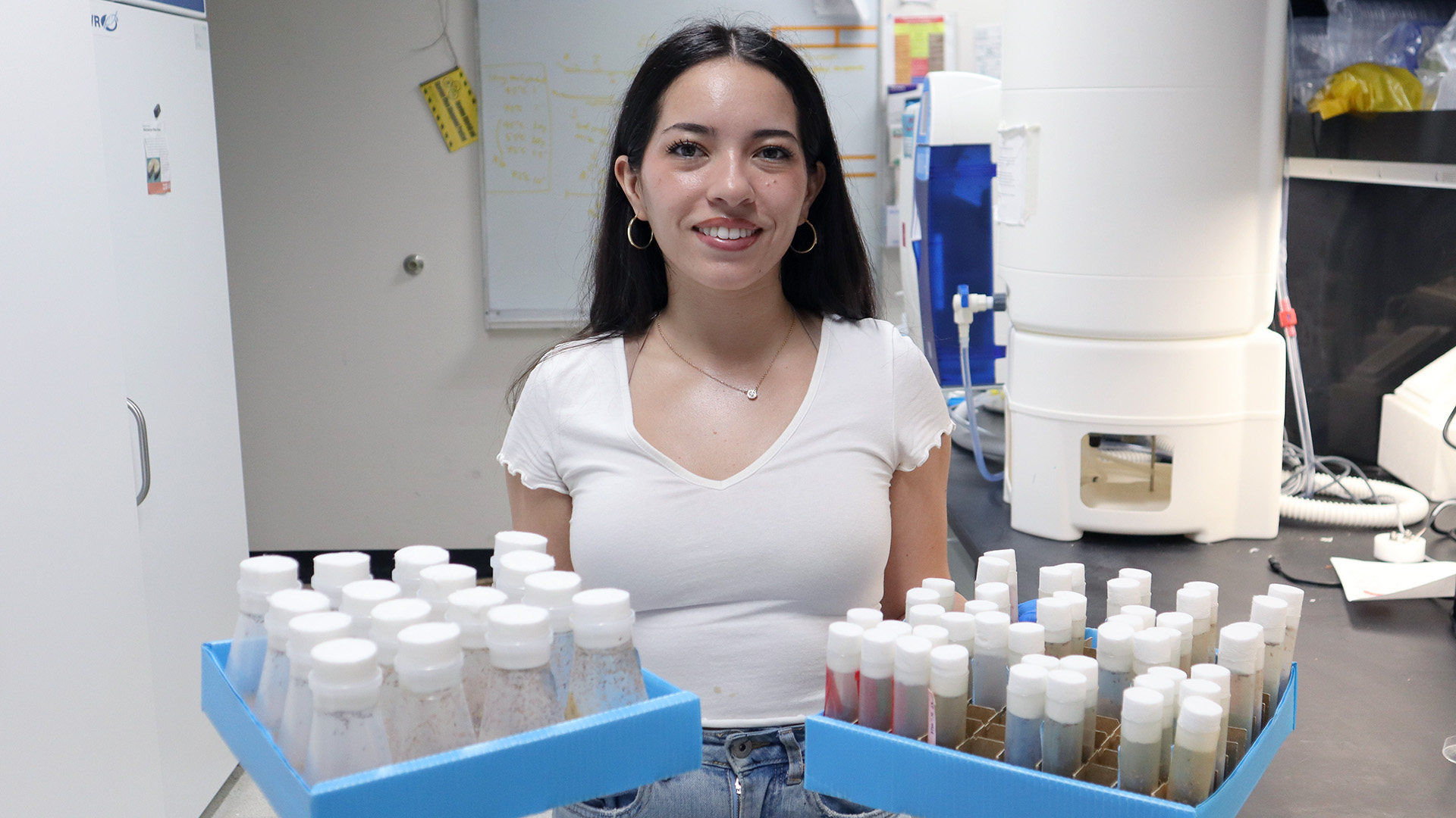 Closeup of female student in lab holding trays of samples in flasks in each hand.