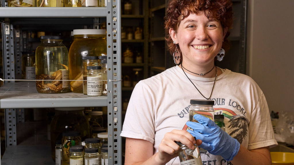 First-year master’s student Alyssa Head, pictured here, works with assistant professor Kinsey Brock in the reptiles and amphibians collection. They are endeavoring to make all of the specimens searchable via digitization. Photograph by Matt Furman