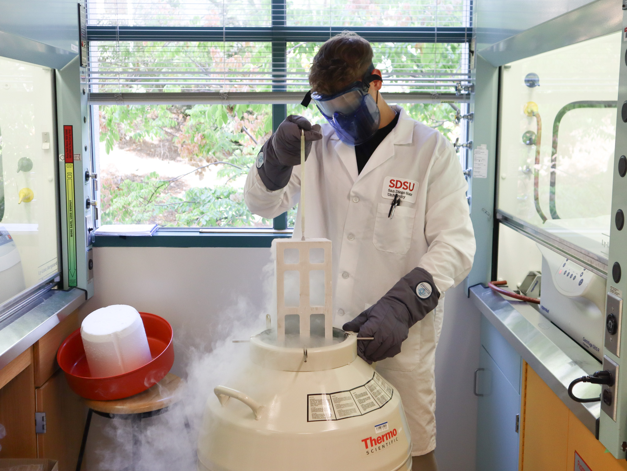 Male student in labcoat with SDSU logo lowering a rack into a large container of liquid nitrogen.