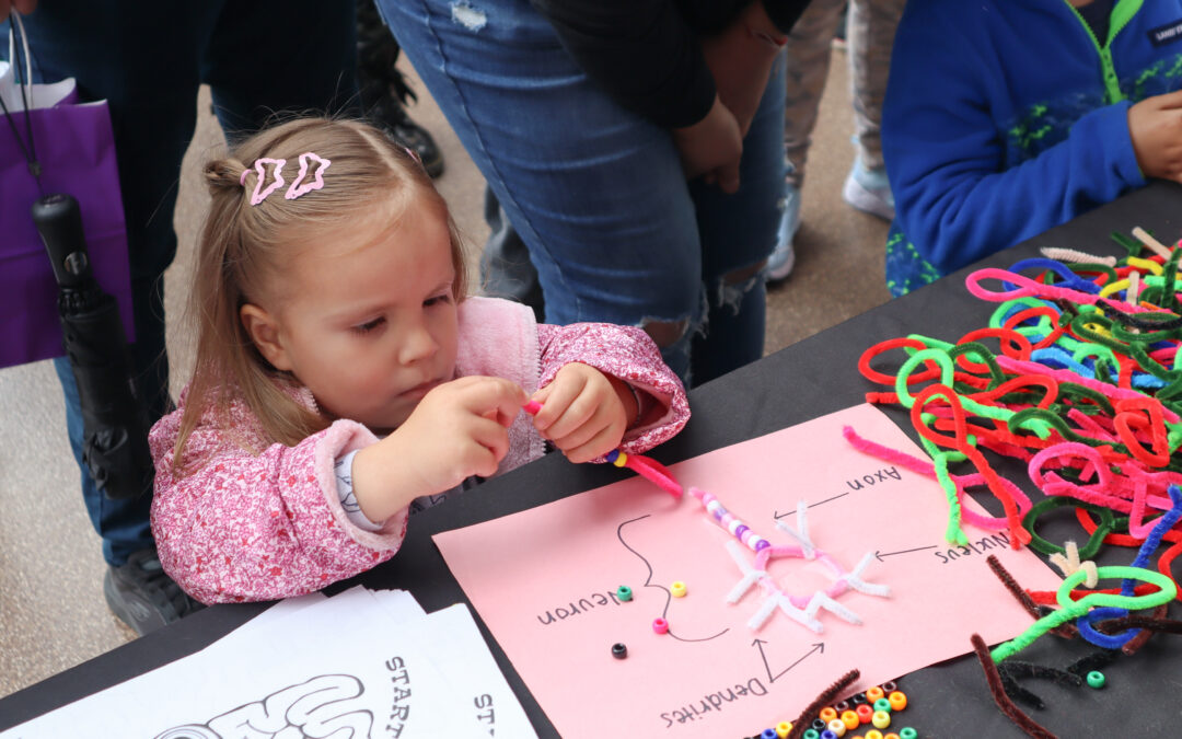 Recap: 17th annual San Diego Festival of Science and Engineering